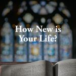 How New is Your Life?