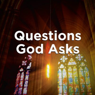 <span itemprop="name">Questions God Asks (East Side)</span>