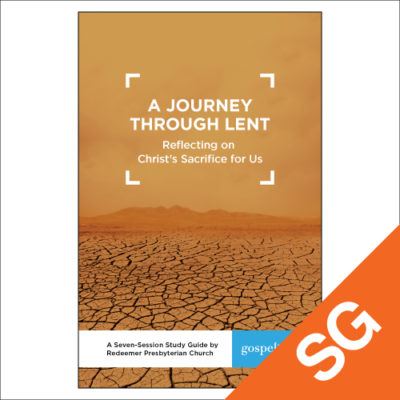 <span itemprop="name">A Journey through Lent Study Guide</span>