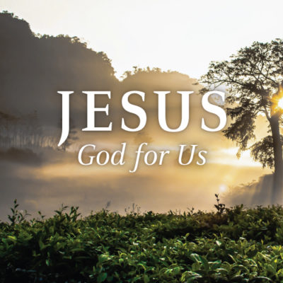 <span itemprop="name">Jesus: God for Us</span>